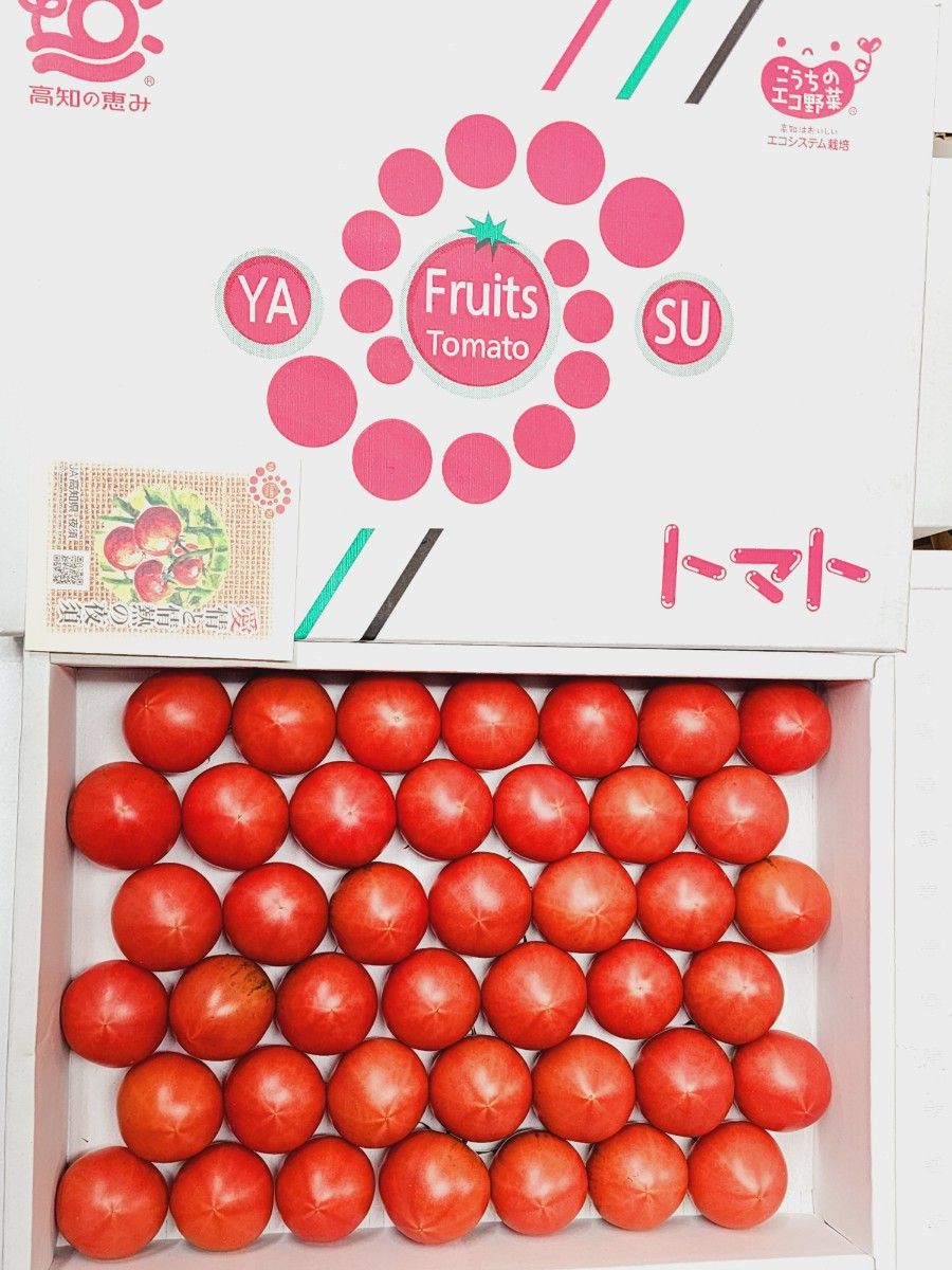 高知県夜須産 高糖度 夜須のフルーツトマト ”とさかみトマト” 約2.5kg ご家庭用 贈答用  24~43玉入