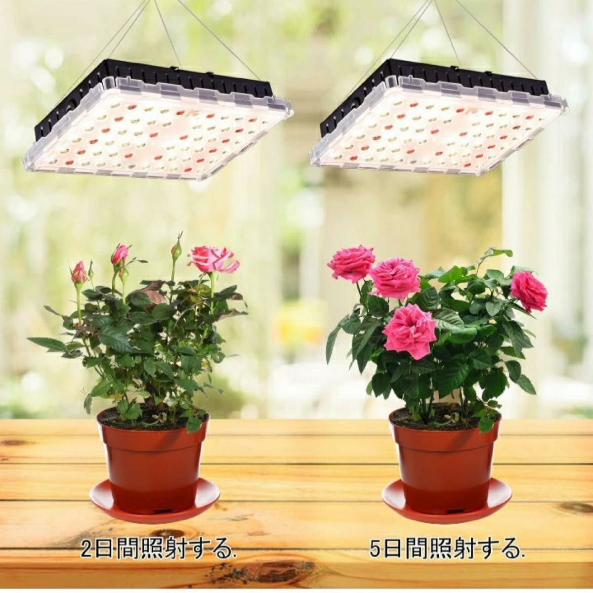 LED植物育成ライト 植物栽培ライト フルスペクトル4000K 赤色光 観葉植物