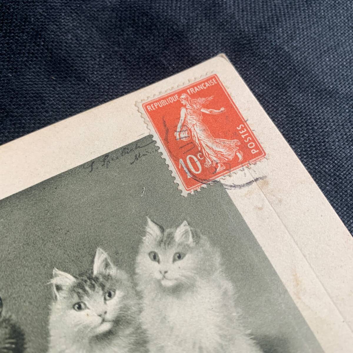 フランス 1900s 5匹の猫 イラスト ポスト カード ポスト 絵画 写真 カメラ 銀板 クラシック アート 葉書 絵葉書 アンティーク_画像6