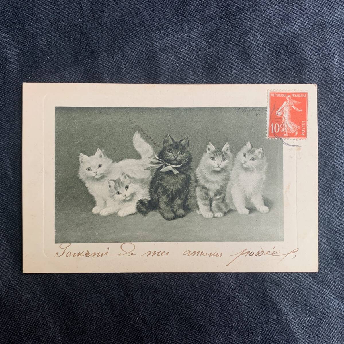 フランス 1900s 5匹の猫 イラスト ポスト カード ポスト 絵画 写真 カメラ 銀板 クラシック アート 葉書 絵葉書 アンティーク_画像1