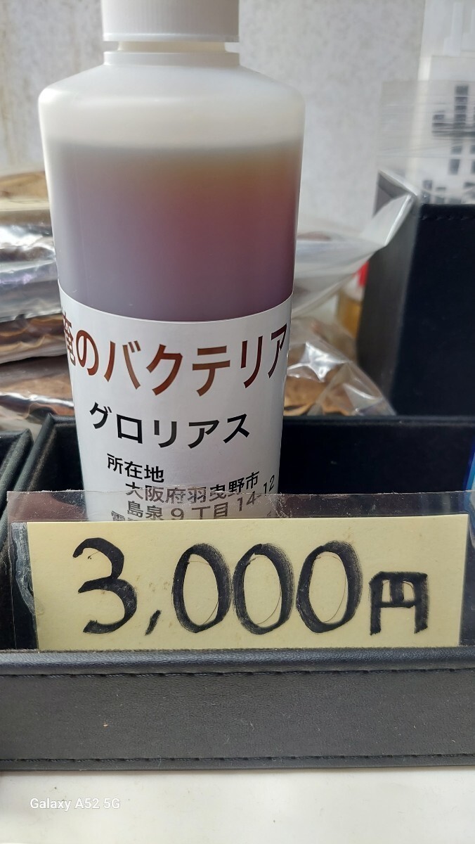 グロリアス　シュリンプ専用　俺のバクテリア300ml　お徳用_画像1