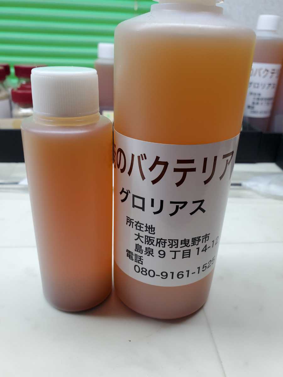 ヤフオク祭り【極み6】グロリアス シュリンプ専用 俺のバクテリア300ml お徳用の画像2