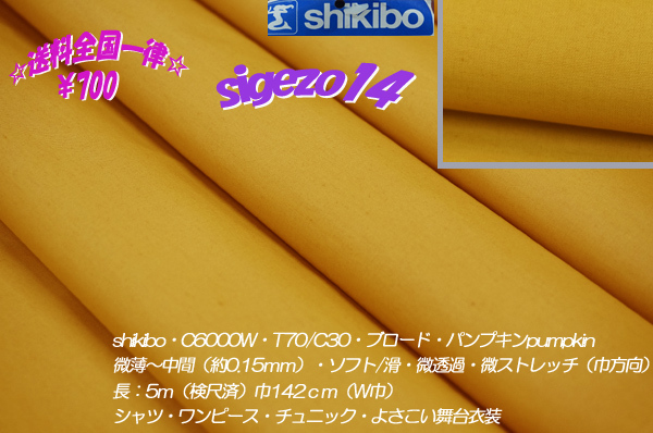 ⑬長5ｍW巾ブロード パンプキン shikibo T70/C30微薄soft滑 の画像1
