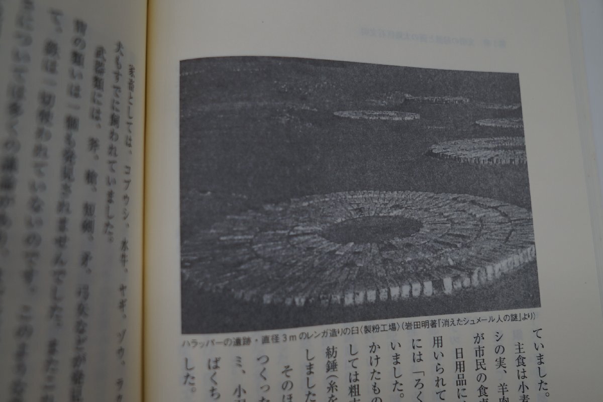 ◎超古代巨石文明と太陽信仰 新たな日本の発見 野島芳明ほか著 日本教文社 平成10年初版の画像10