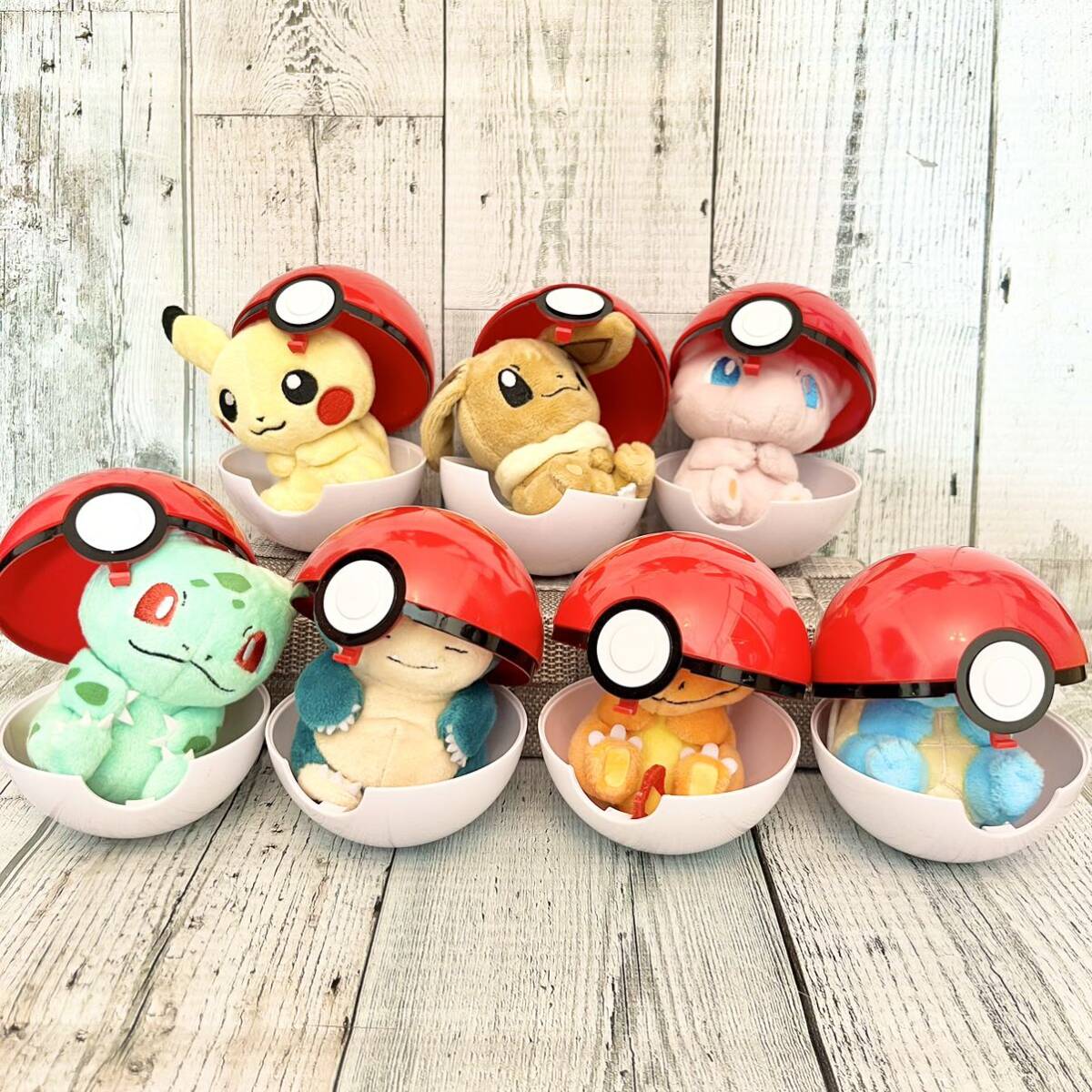 プチぬいぐるみINモンスターボールケースセット ポケモン プチぬいぐるみINモンスターボールケースセット ポケモン