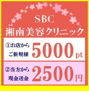 湘南美容外科【 2500円送金+5000ポイント・SBC 湘南美容クリニック ご新規様 紹介 クーポン 】取引ナビ専用_画像1