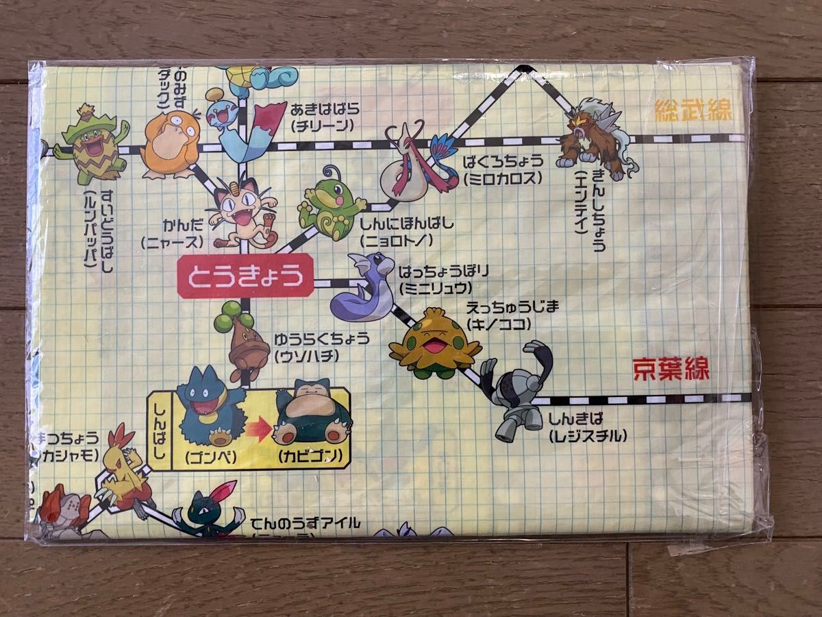 JR東日本ポケモン・スタンプラリー2005 グッズセット(レジャーシート/スタンプ帳/ゴール記念・駅ナカ店舗チラシ/パンフ兼台紙)