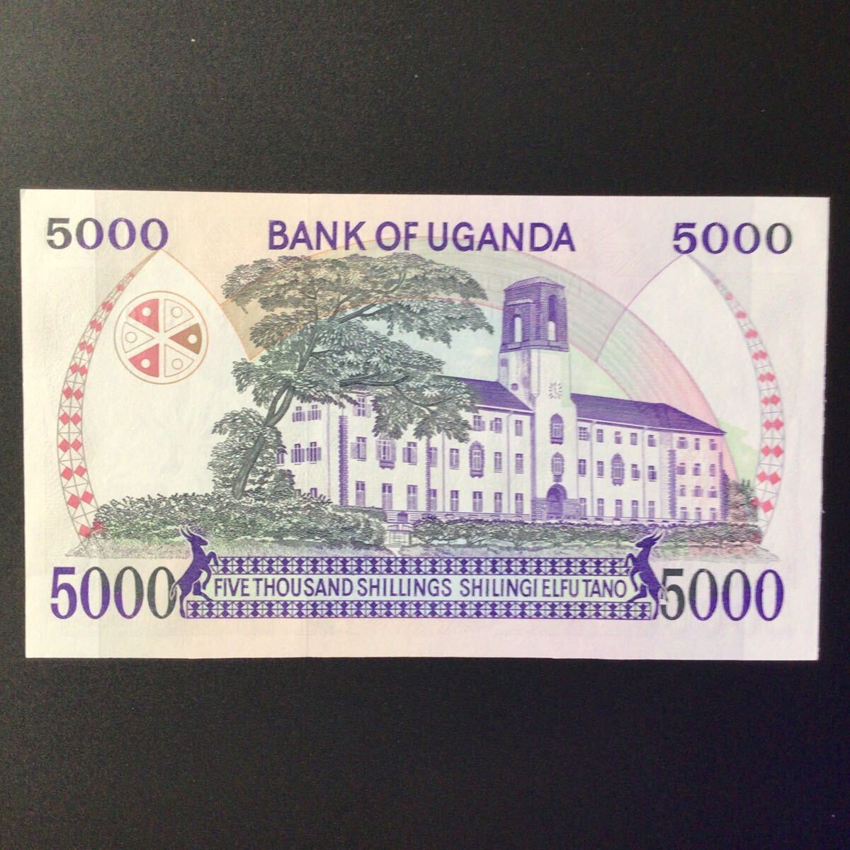 World Paper Money UGANDA 5000 Shillings【1986】_画像2