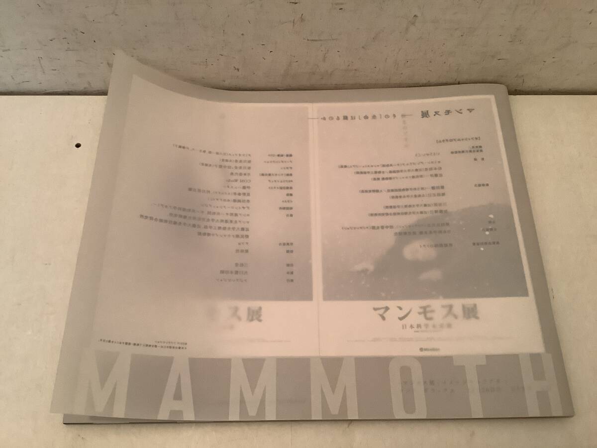 t674 マンモス展 図録 2019年 いとうせいこう フジテレビジョン 日本科学未来館 2Hb1の画像2