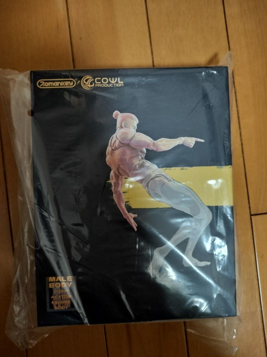 新品未開封品 Romankey x COWL 超可動男性素体 YELLOW SKIN ナチュラル