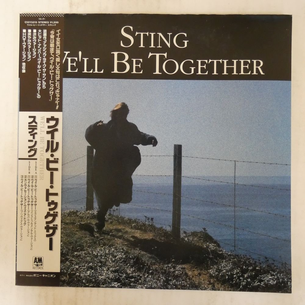 47050838;【帯付/12inch】Sting / We'll Be Together_画像1