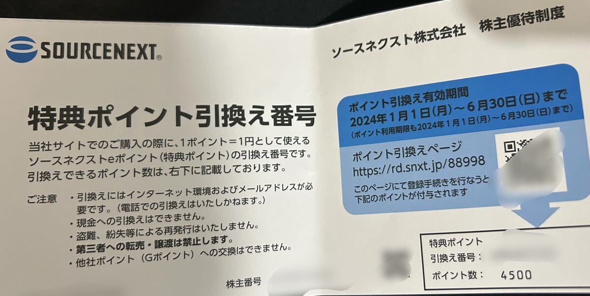 【匿名取引】ソースネクスト 株主優待券 4500ポイント 実物の発送無し　送料無料_画像1