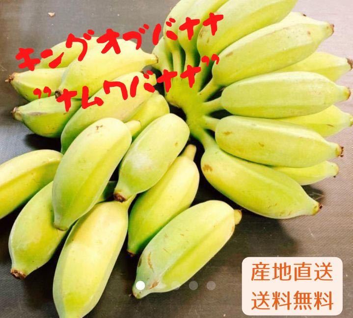 入手困難！！キングオブバナナ！バナナの王様！沖縄産ナムワバナナ農薬不使用コンパクトでお届け！！の画像1
