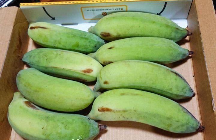 入手困難！！キングオブバナナ！バナナの王様！沖縄産ナムワバナナ農薬不使用コンパクトでお届け！！の画像5