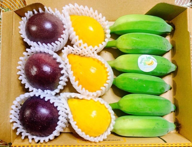 お試しやプレゼントにも！沖縄産アップルバナナ、パッションフルーツ、カニステル ３種！の画像1