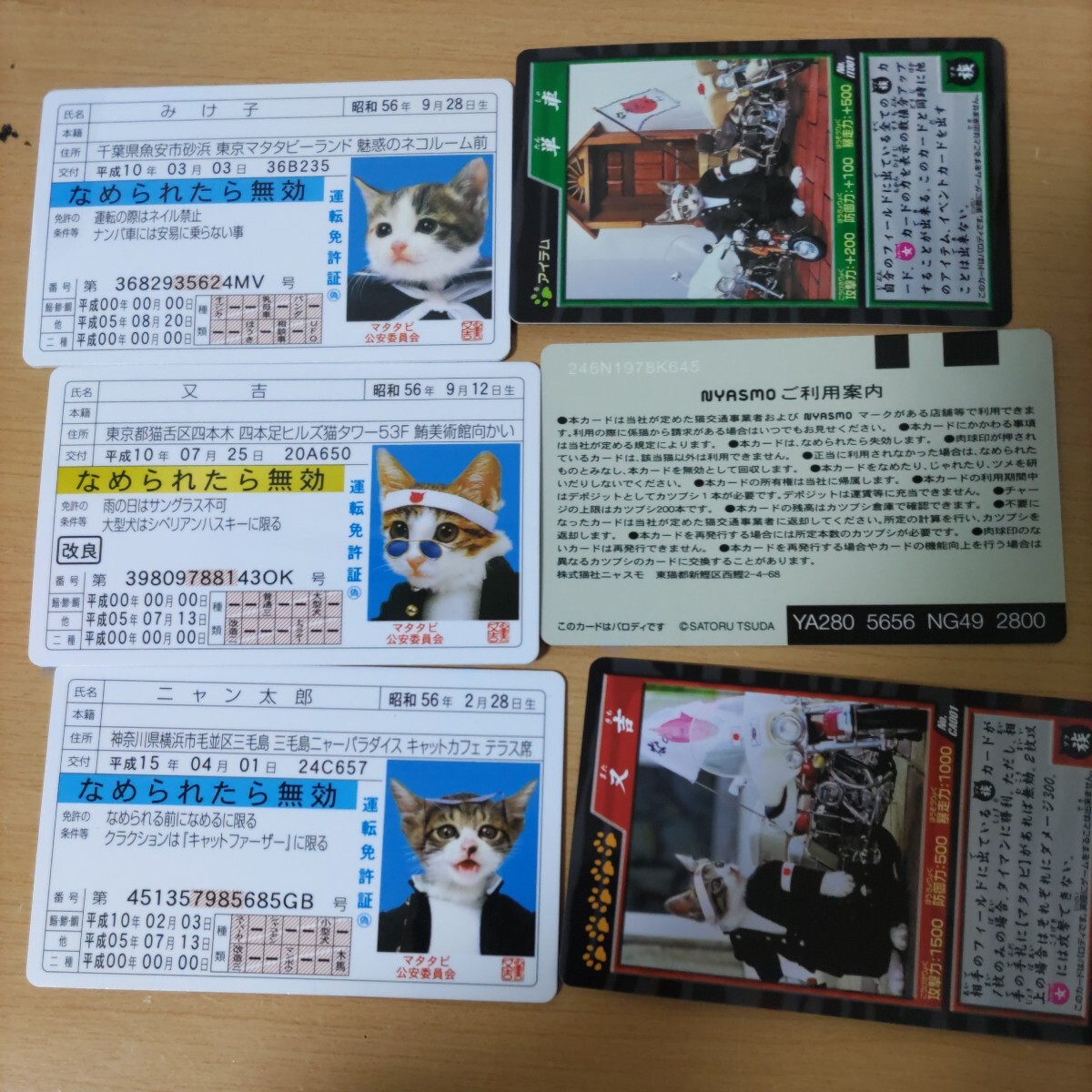 なめんなよ 昭和レトロ カード なめ猫 なめ猫免許証 BANDAI カードコレクション みけ子　三毛猫　又吉　ニャン太郎未使用パロディーカード_画像1