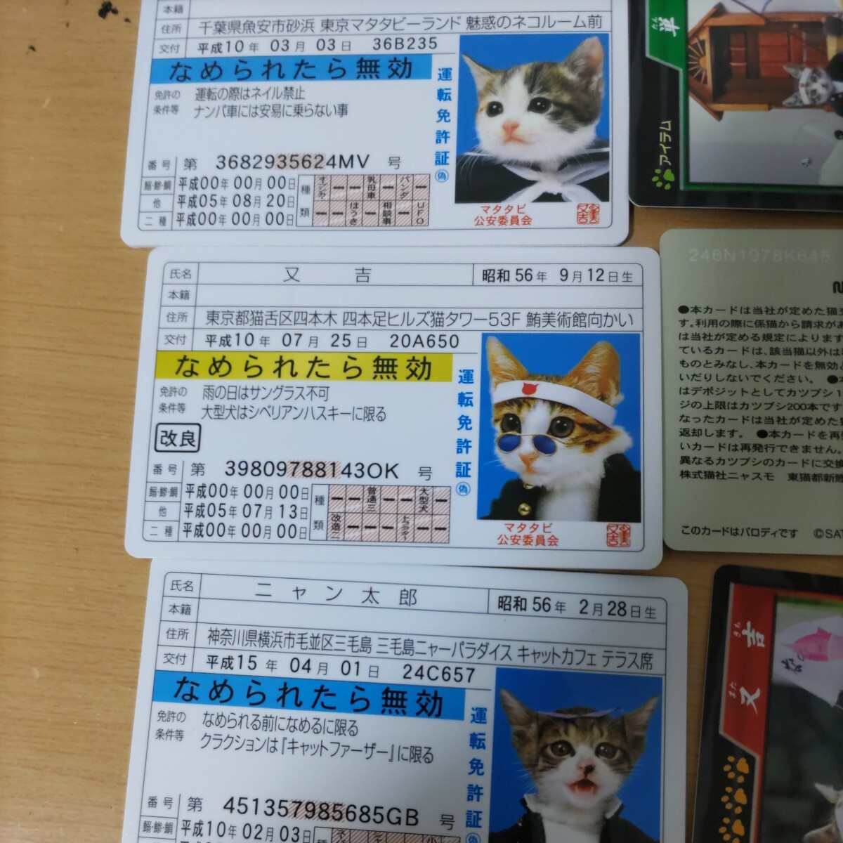 なめんなよ 昭和レトロ カード なめ猫 なめ猫免許証 BANDAI カードコレクション みけ子 三毛猫 又吉 ニャン太郎未使用パロディーカードの画像3