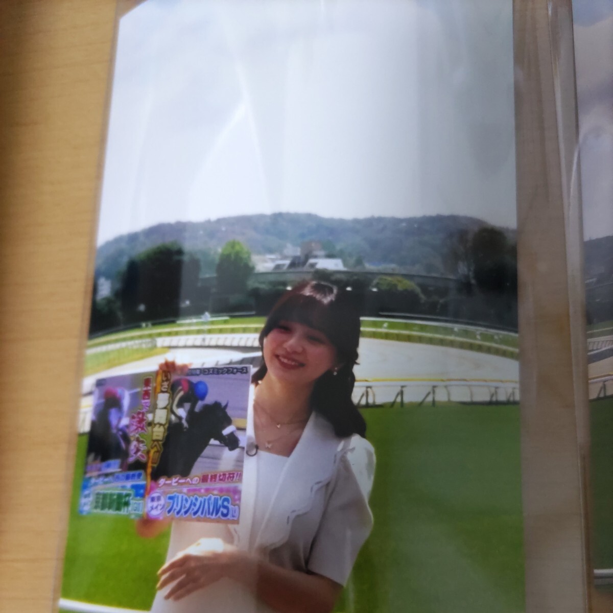  life photograph forest .. origin tv Tokyo hole unsa- Tokyo horse racing place horse racing relay photograph collection 5 pieces set horse . woman star 