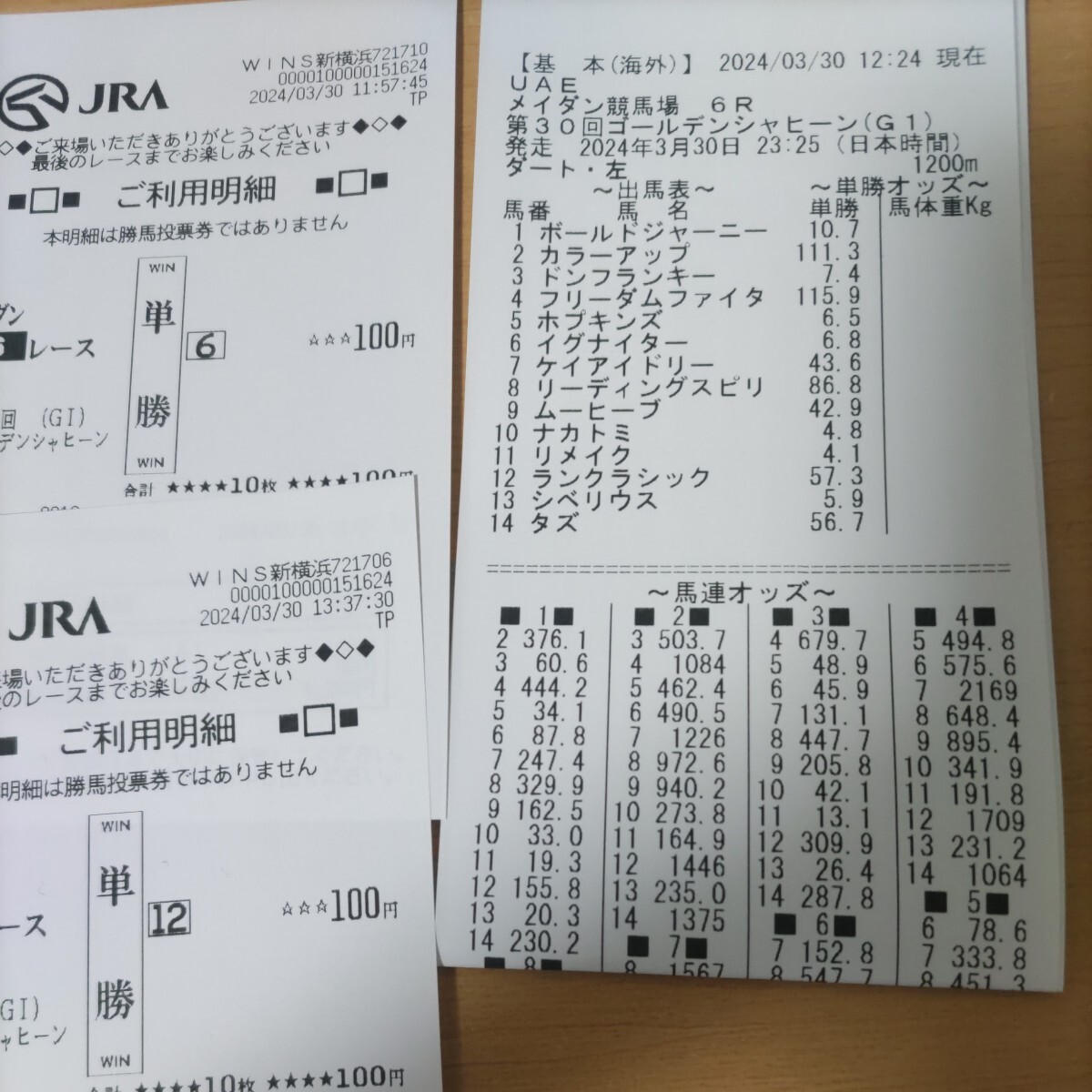 競馬　ドバイ　ゴールデンシャヒーン　レーシングプログラム　オッズシート　単勝馬券利用明細　ドンフランキー　イグナイター　リメイク　_画像2