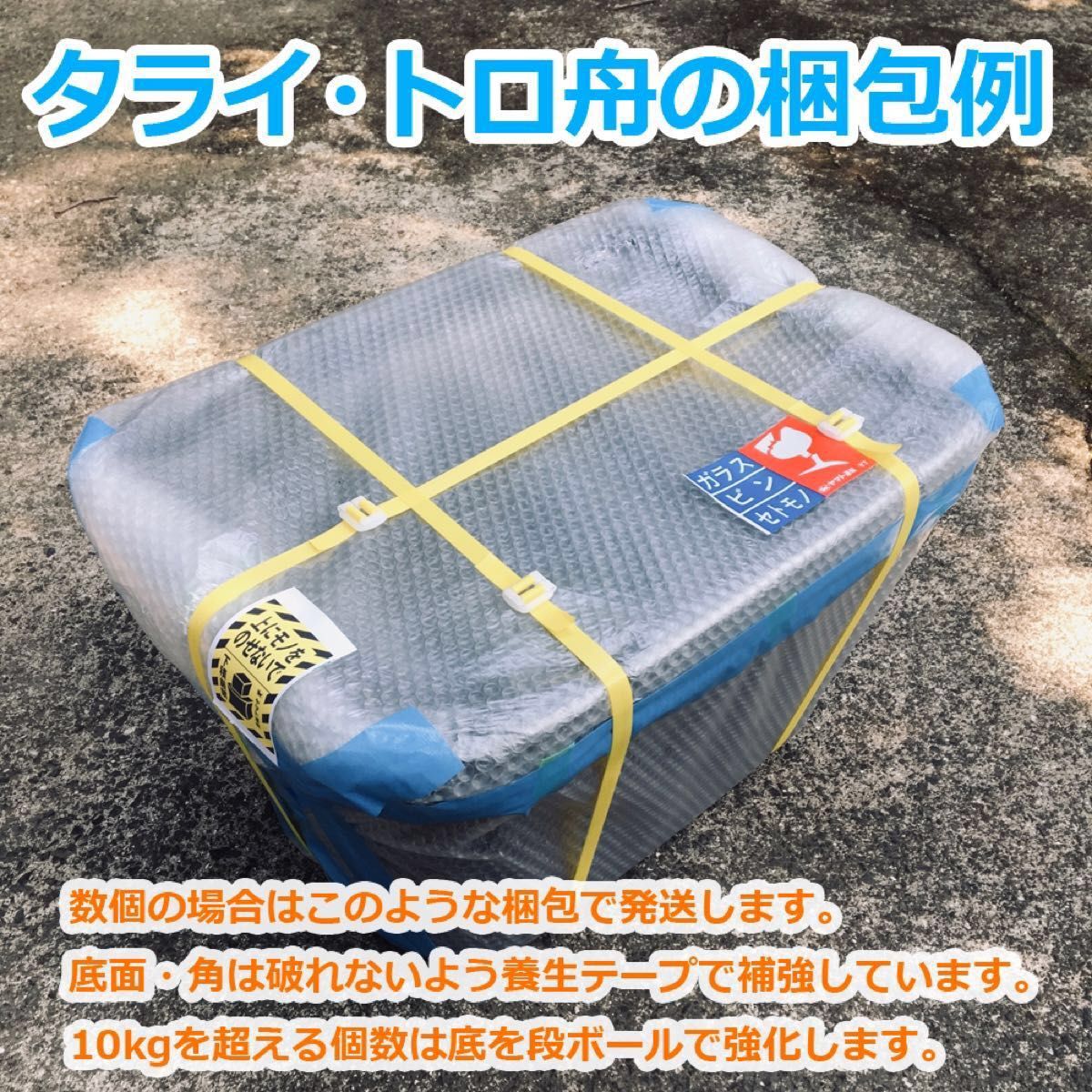 メダカ飼育ケース【40㍑トロ舟 1個 オーバーフローキャップ付】金魚飼育容器 らんちゅう 産卵 針子 ビオトープ 睡蓮【五色アクア