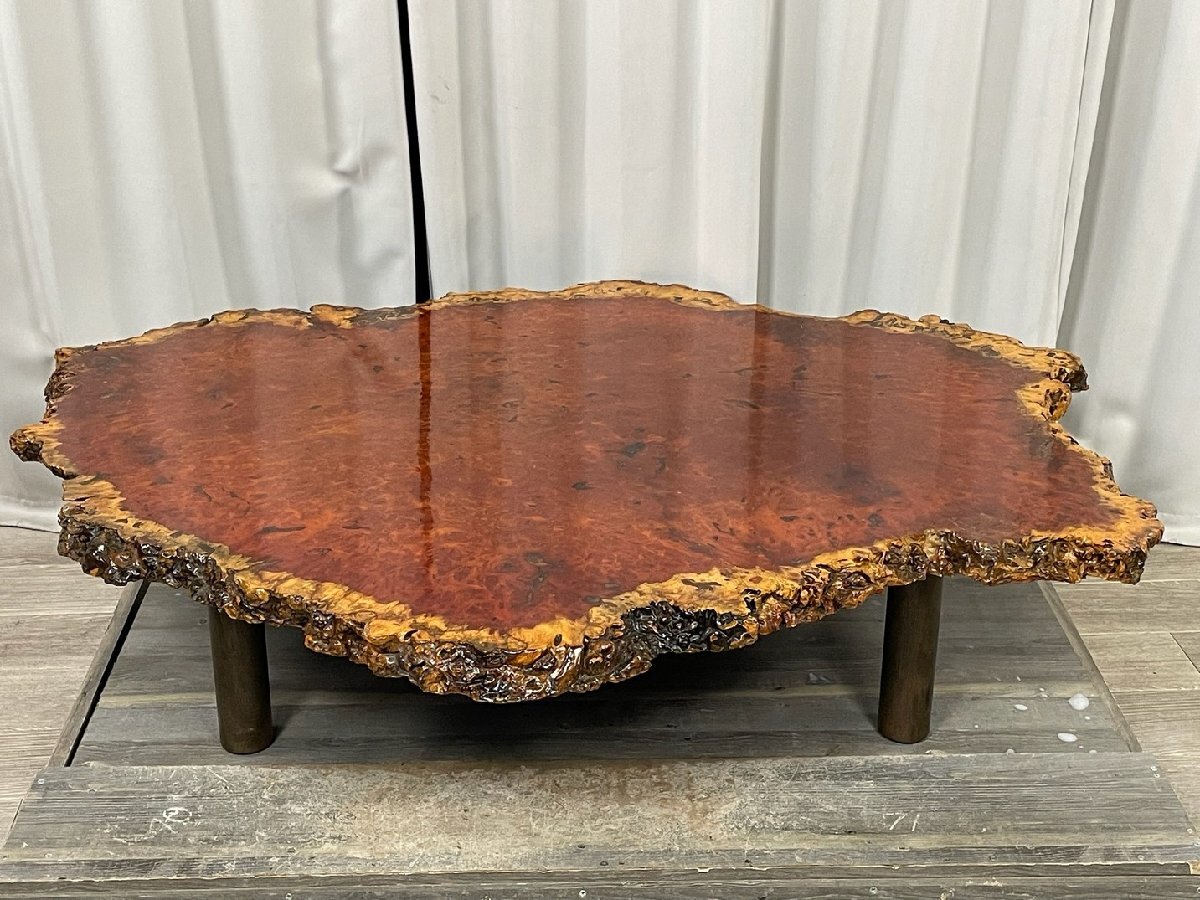 GY63 chinese quince one sheets board kelp sphere .... low table / high class karaki . tree seat . desk low dining table natural tree / Kanagawa prefecture .. city 