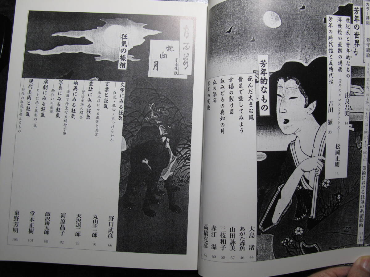 月岡・芳年 YOSHITOSHI 狂懐の神々 横尾忠則編 里文出版 1989年痛み汚れ_画像8