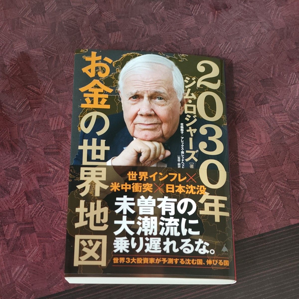 ２０３０年お金の世界地図 （ＳＢ新書　６４４） ジム・ロジャーズ／著　花輪陽子／監修・翻訳　アレックス・南レッドヘッド／監修・翻訳