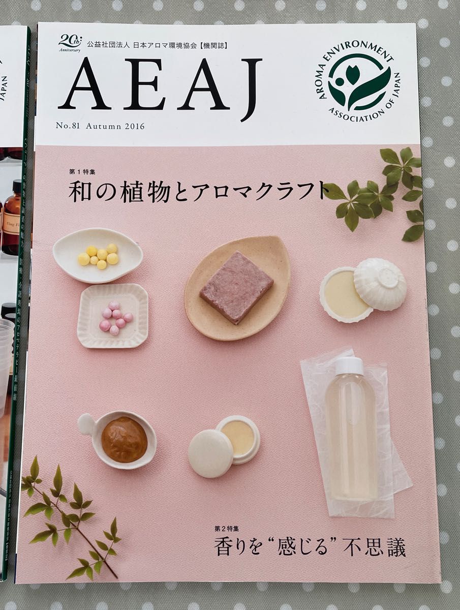 公益社団法人日本アロマ環境協会 AEAJ 機関誌 2冊 No.80 No.81