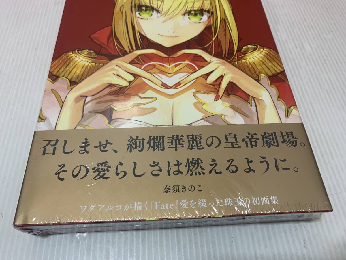 1/9☆【未開封】愛-ワダアルコ Fate ART WORKS- TYPE-MOON BOOKS☆の画像3