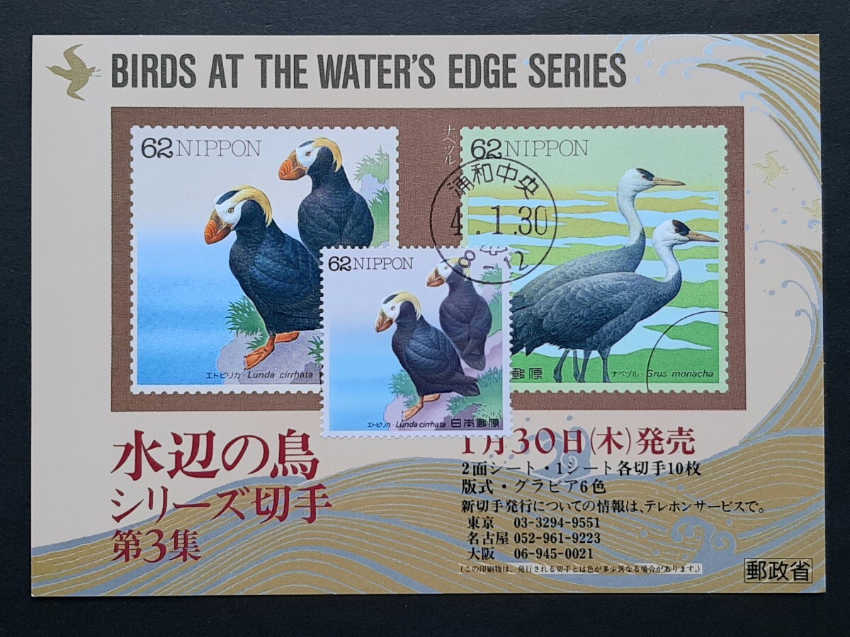 Первый день серии 3 -й серии Waterside Bird Series ②