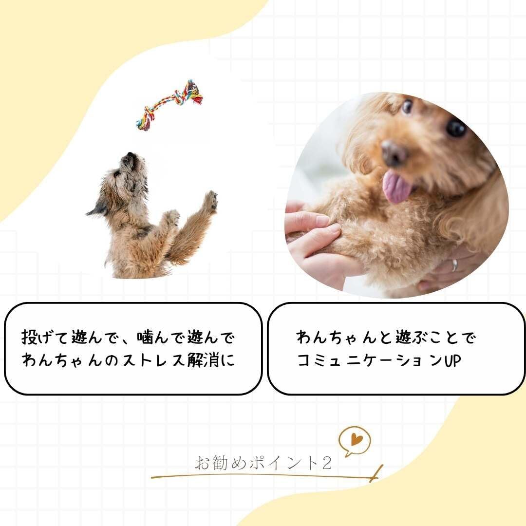 PetGround 犬 おもちゃ 6個セット 噛む 投げる 丈夫 ロープ 輪投げ ボール にんじん ストレス解消 歯磨き 小型犬 _画像5