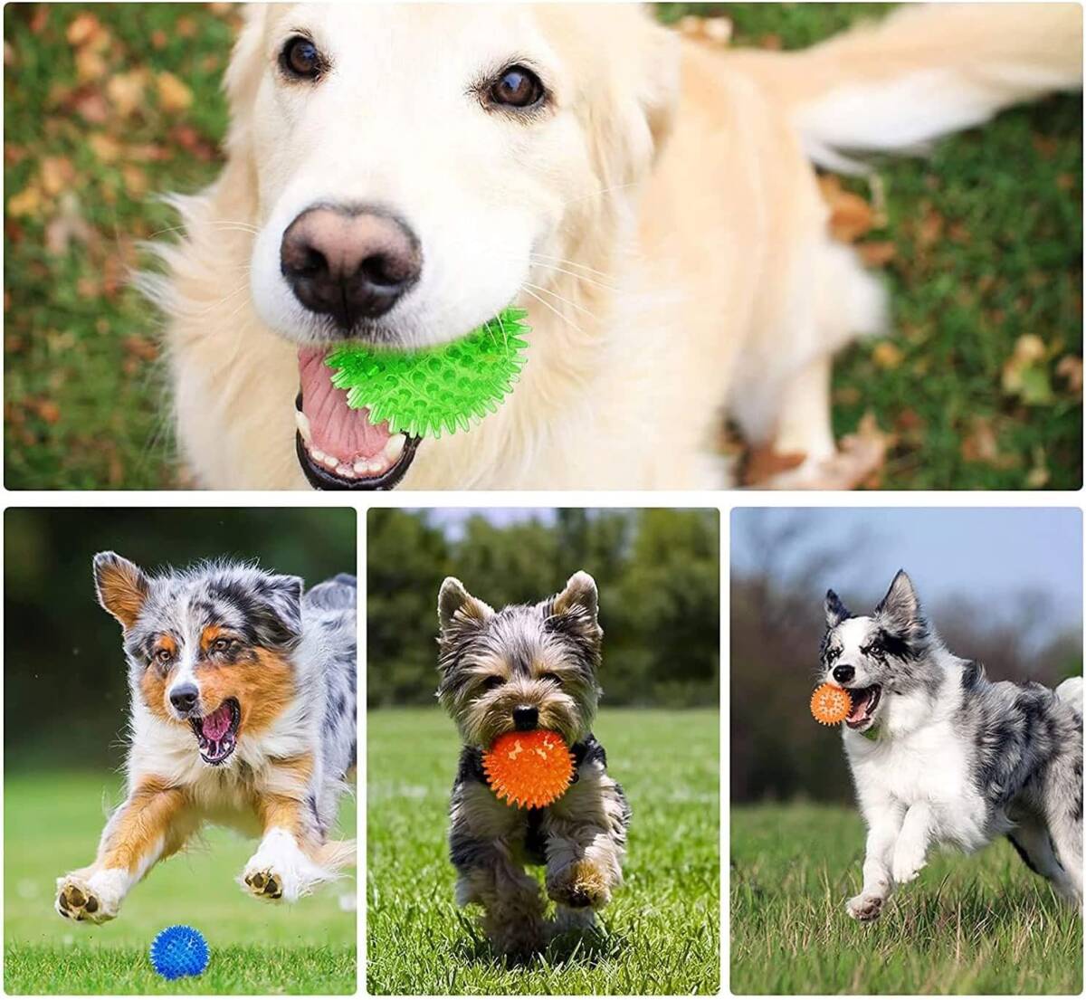 5個犬おもちゃ 犬用ボール セット 犬 ボール おもちゃ 噛むおもちゃ 音の出るおもちゃ 知育玩具 天然ゴム 弾力性 耐久性 スト_画像6