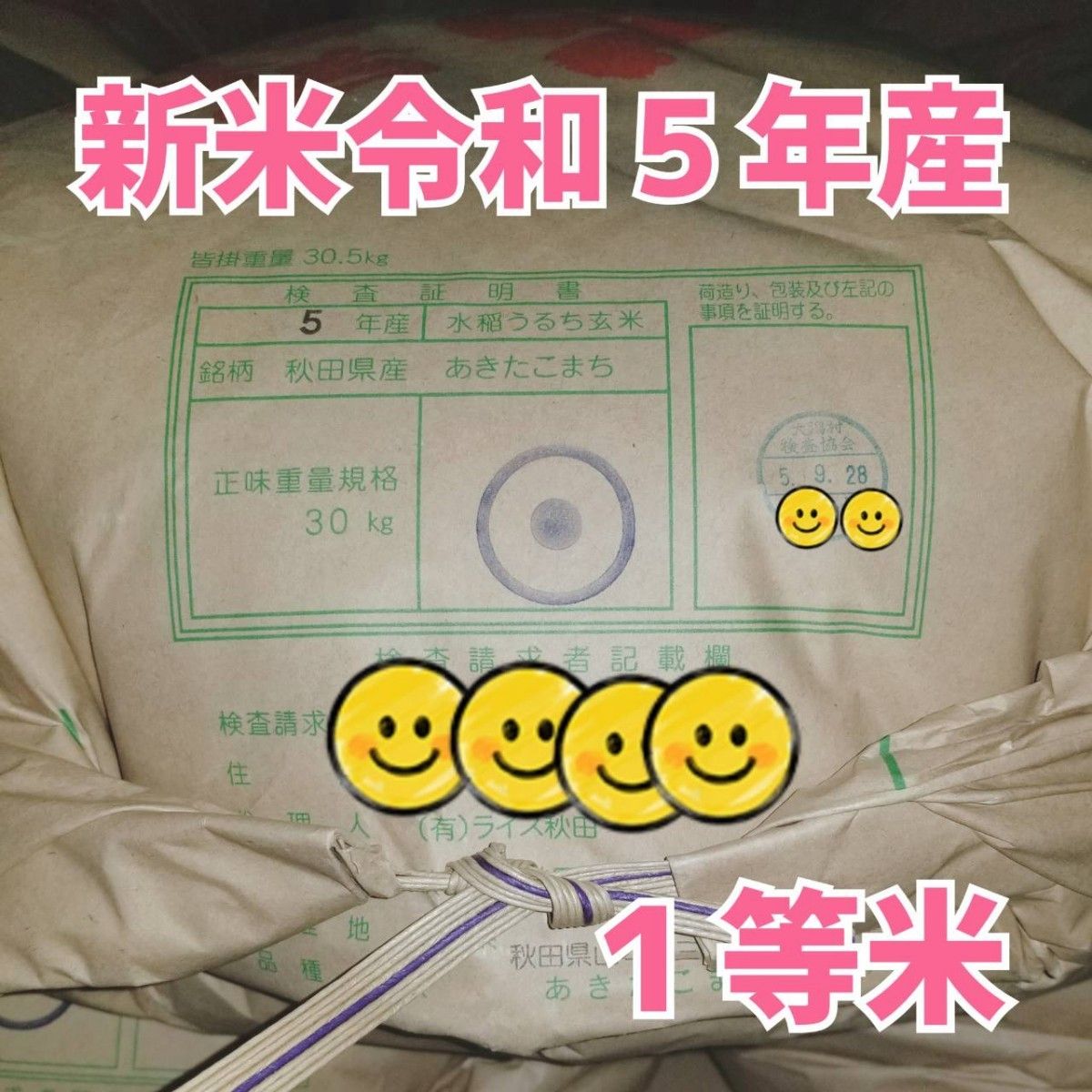 ★生活応援１０％(２kg)増量★令和５年産秋田県産あきたこまち５０％使用 ｢あきたこまちブレンド白米｣合計（２２kg）送料込み★