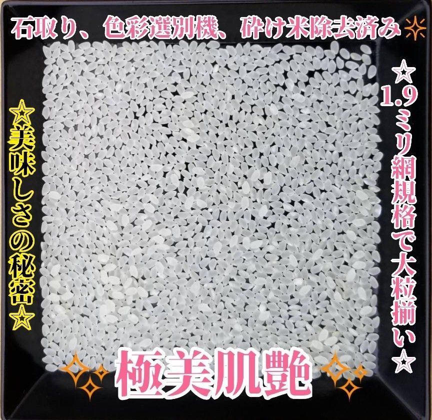 ★生活応援１０％(２kg)増量★令和５年産秋田県産あきたこまち５０％使用 ｢あきたこまちブレンド白米｣合計（２２kg）送料込み★