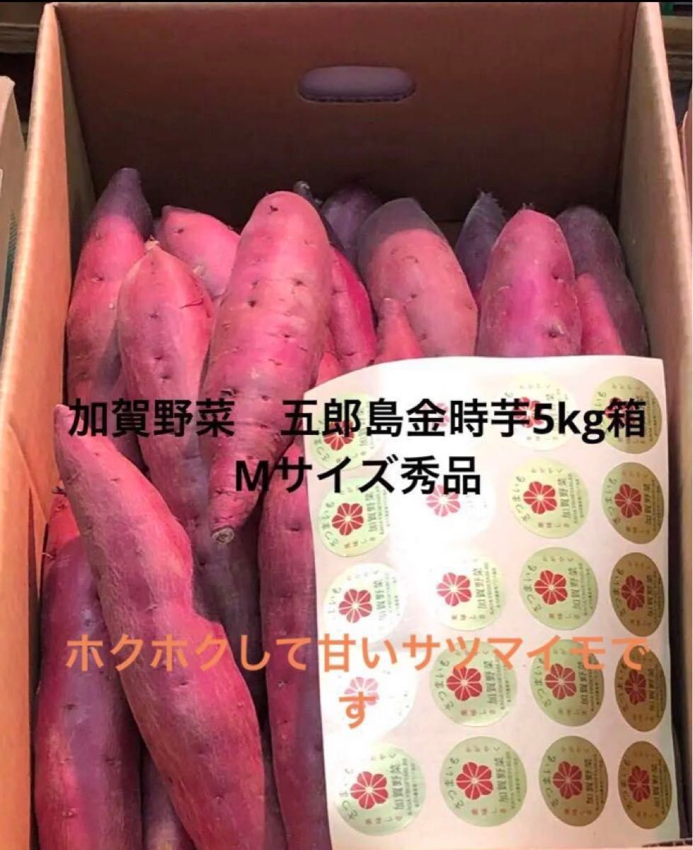 加賀野菜　五郎島金時芋5kg箱　Mサイズ秀品