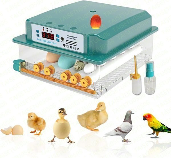 自動孵卵器インキュベーター 恒温器 鳥類専用ふ卵器 孵化器 自動転卵式 アヒル 鶏卵 アヒル うずら 恒温孵化器全自動 6-16個の卵_画像1