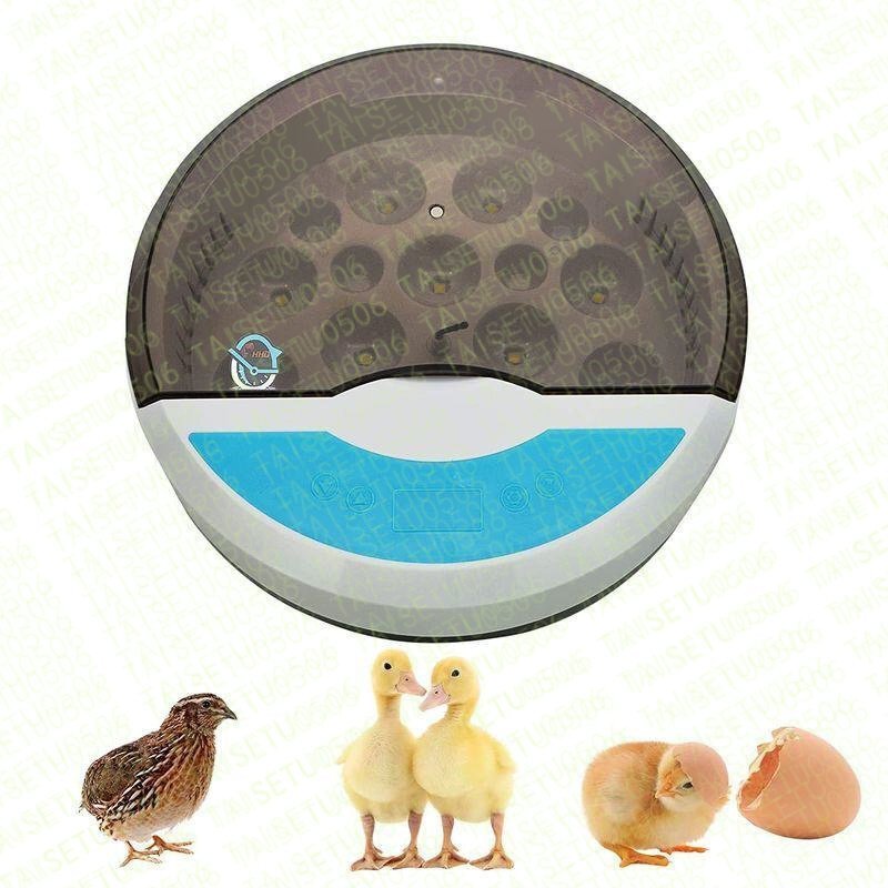  automatic . egg vessel in kyu Beta - go in egg 9 piece birds exclusive use . egg vessel inspection egg light built-in .. vessel chicken egg a Hill ... child education for automatic temperature control humidity guarantee .