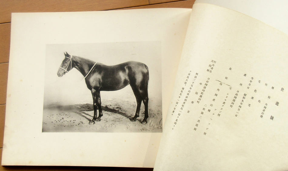 旧日本軍 軍馬 天覧 牛馬 写真帖 戦前 北海道 昭和天皇 昭和十一年 _画像7