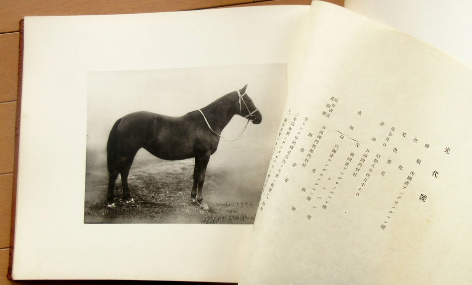 旧日本軍 軍馬 天覧 牛馬 写真帖 戦前 北海道 昭和天皇 昭和十一年 _画像9
