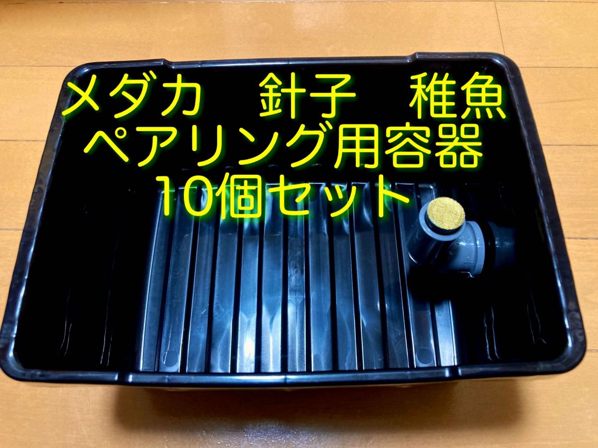 メダカ　針子　稚魚　金魚　コンパクト　飼育容器　10個セットです