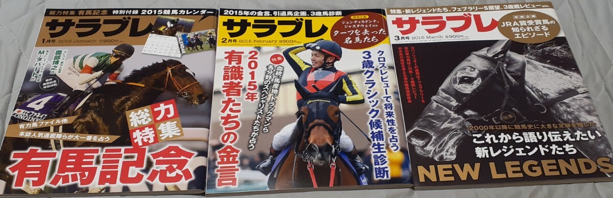 世界の至宝イクイノックス、純白女王ソダシ、サラブレ全部見せます中央競馬2015サラブレ2015年12冊2015年Ｇ１カラーレープロ競馬博物館冊子_画像4