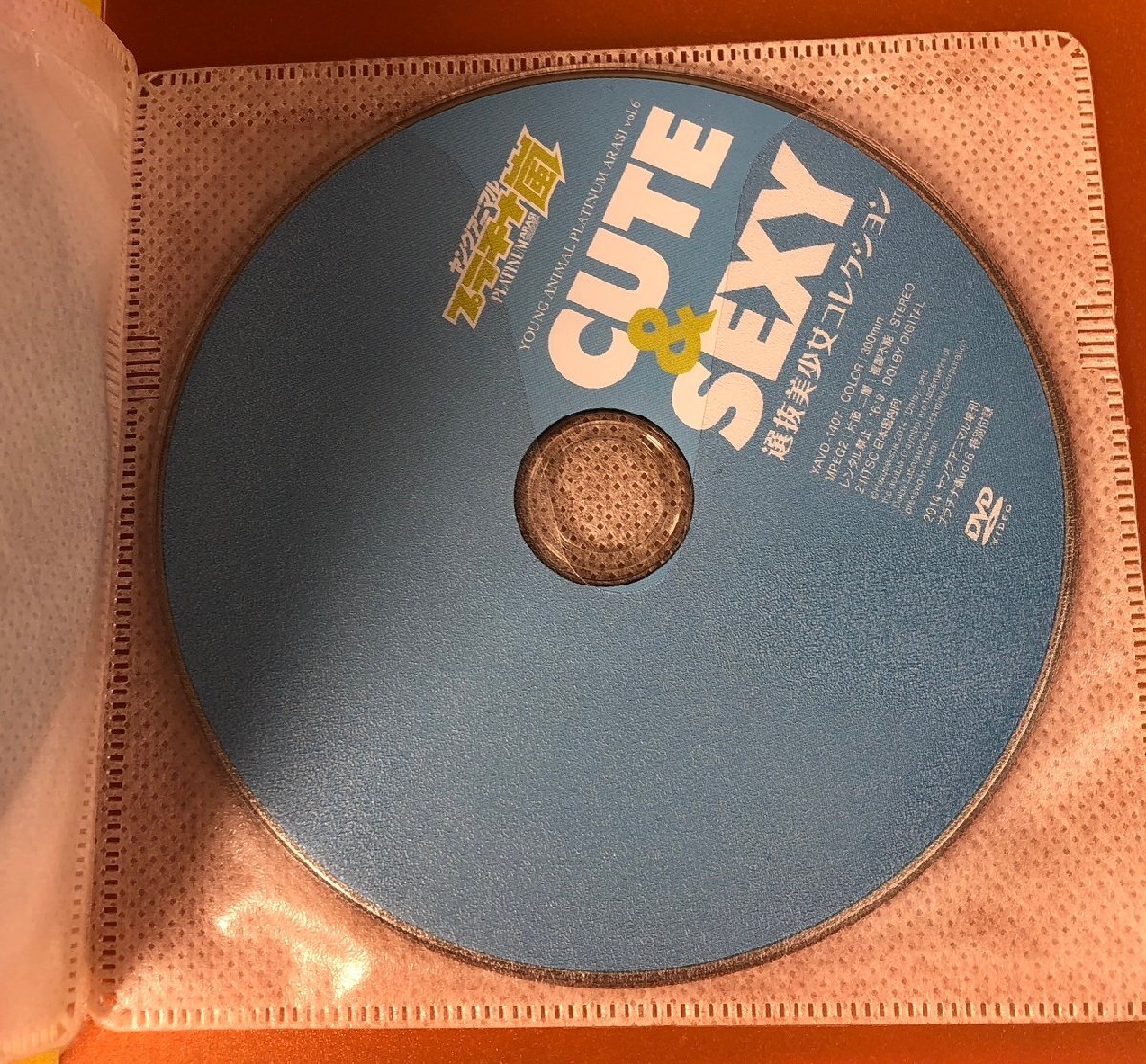 1円～ 篠崎愛 アイドル グラビア イメージ DVD ほぼディスクのみ 9点 まとめ売りの画像2
