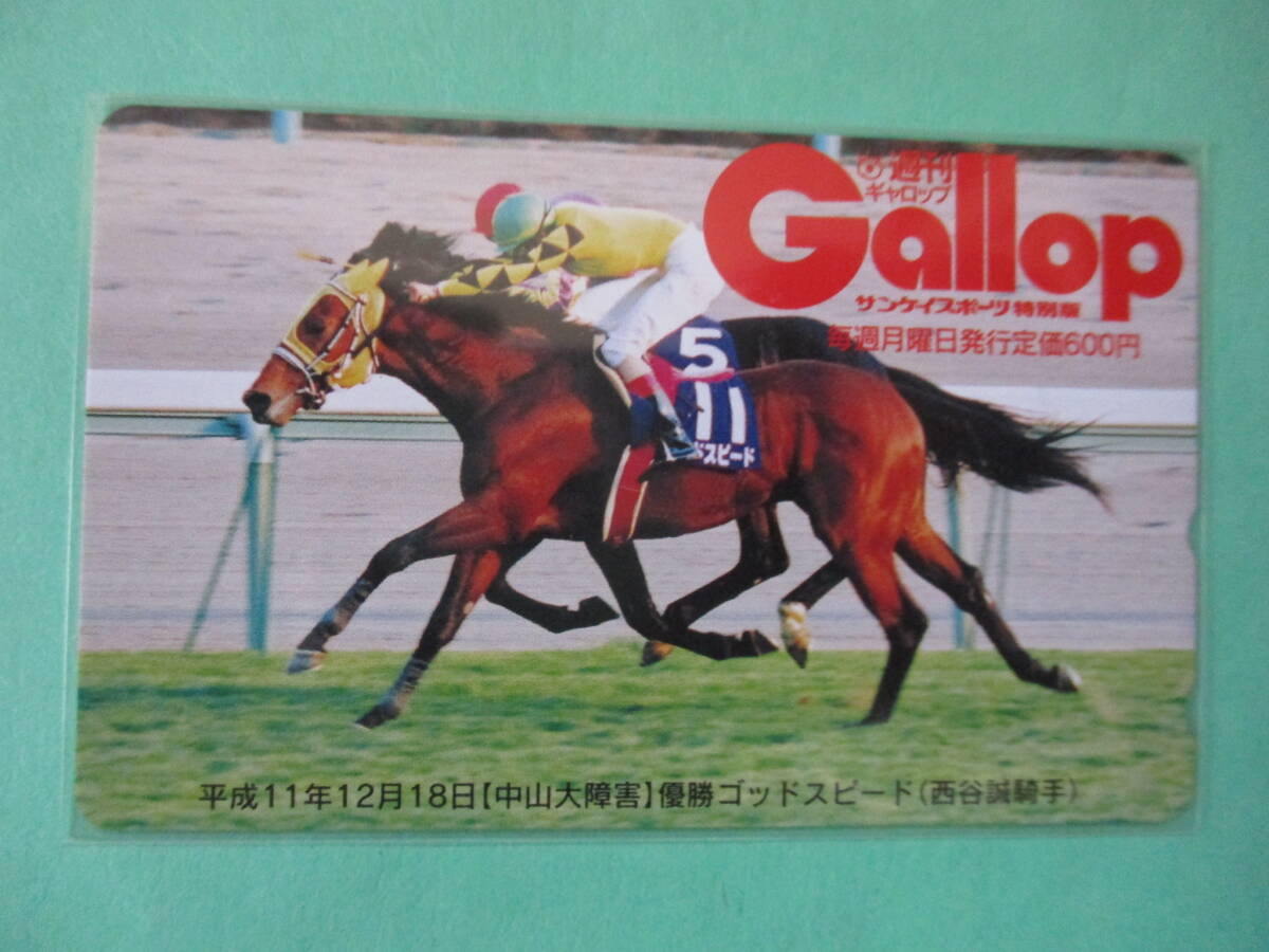 ☆週刊GALLOP 11年中山大障害 ゴッドスピード テレカ☆の画像1