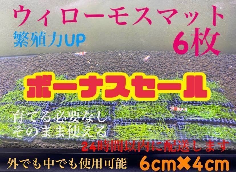 ウィローモスマット　6枚セット　業者様もご愛用　すぐ使えます。　24時間以内に配送_画像1