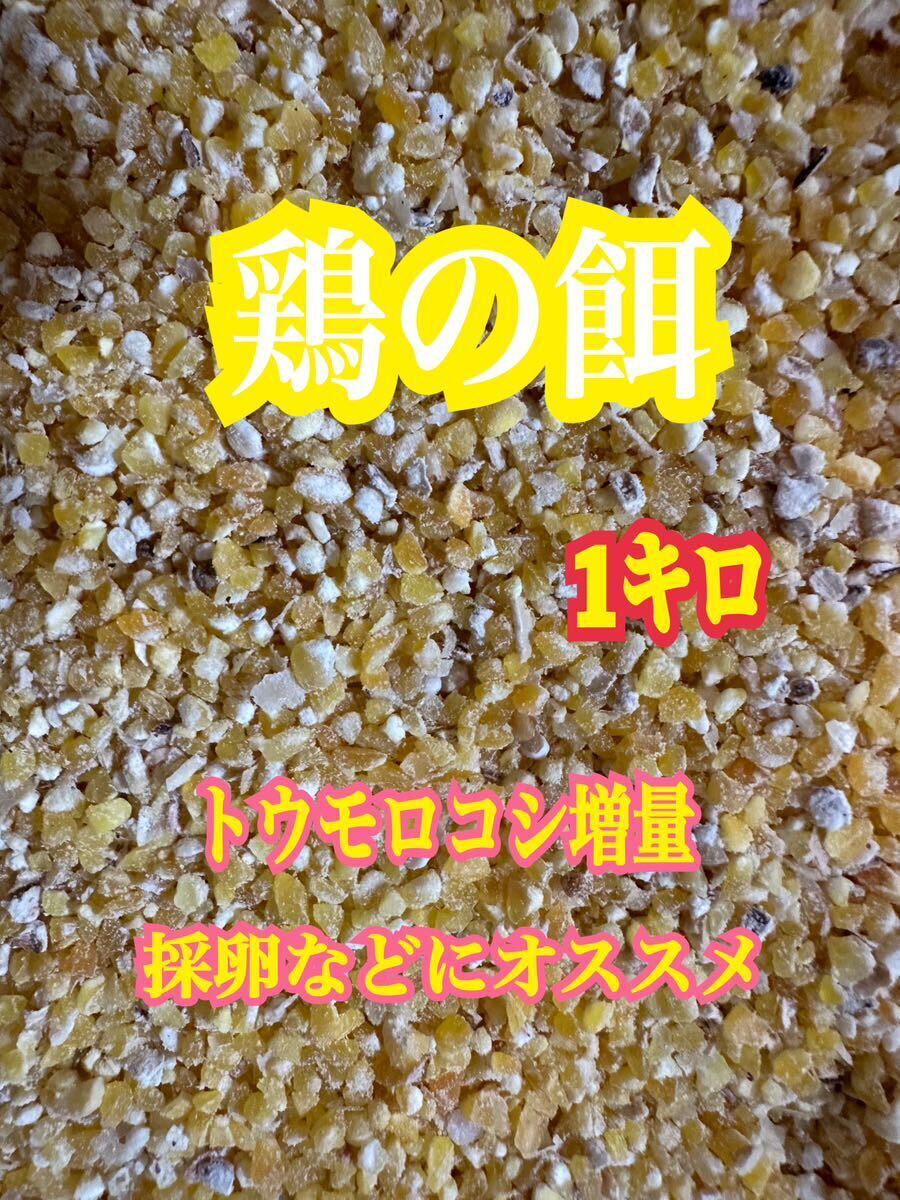 鶏の餌　ニワトリのエサ　1kg トウモロコシ増量　粉砕トウモロコシ　採卵などに_画像1