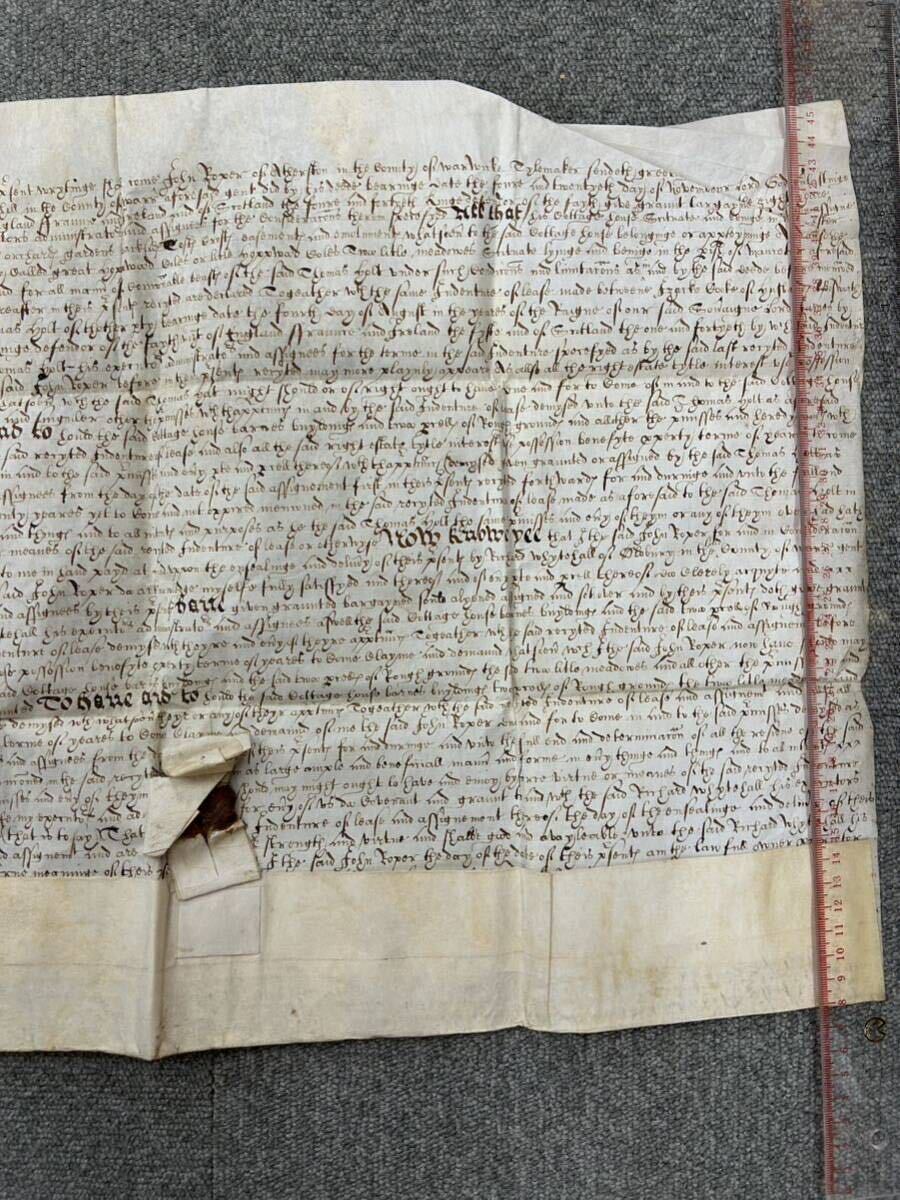 羊皮紙 パーチメント イギリス 古文書 1611の画像4