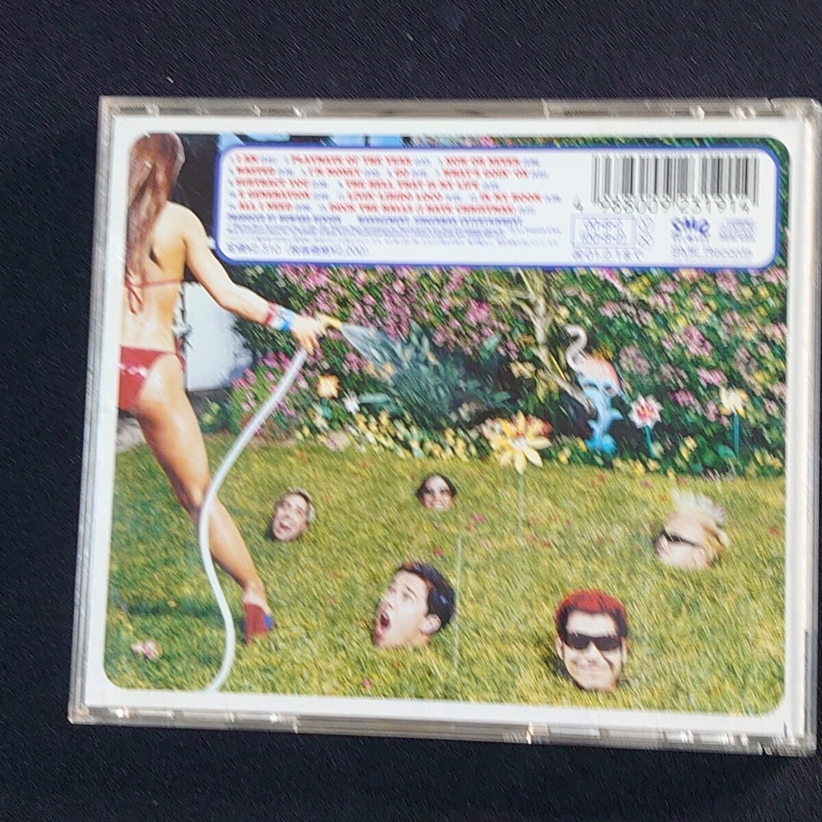 Zebrahead『Playmate Of The Year』 ゼブラヘッド /CD /#YECD1164_画像2