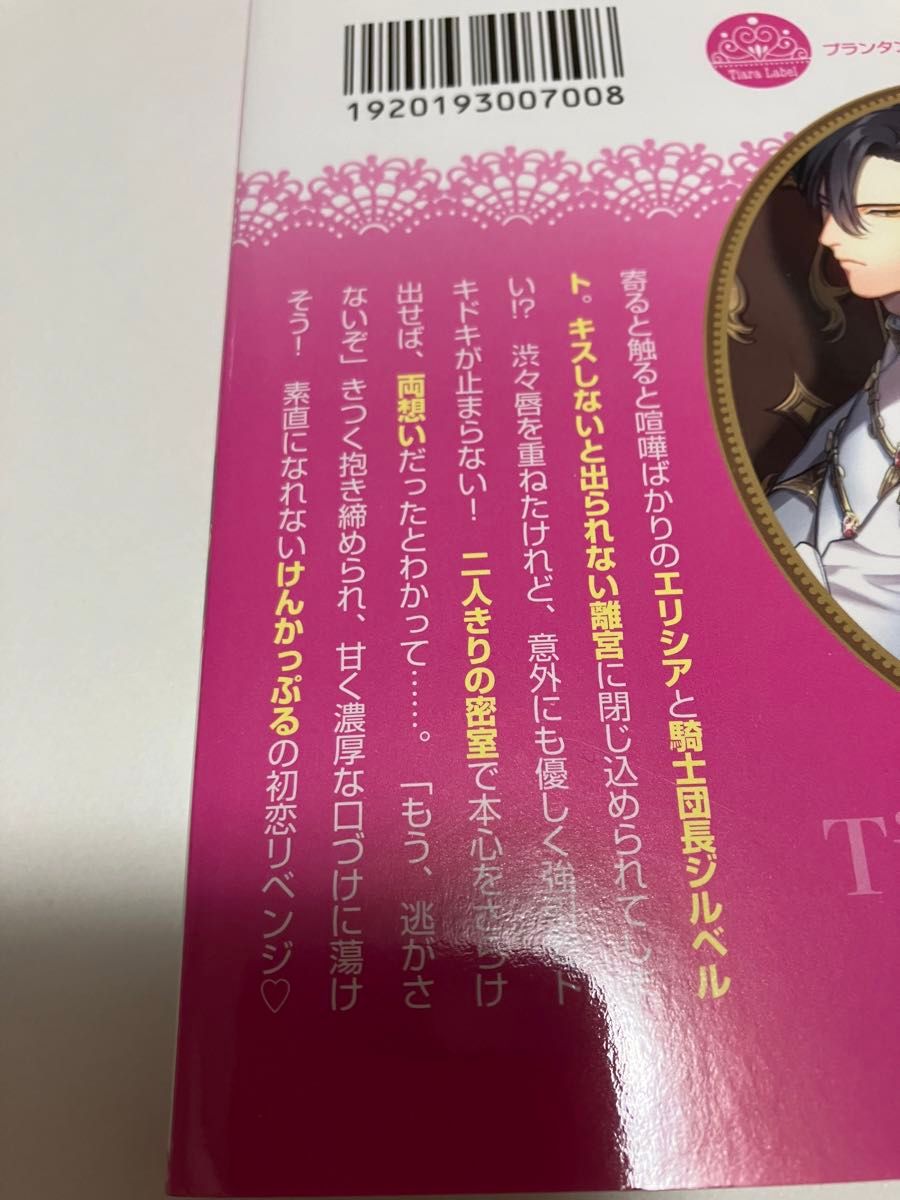 キスしてイチャつかないと出られないシンデレラ迷宮で因縁の騎士団長と初恋をやり直します！ （ティアラ文庫） せらひなこ／著