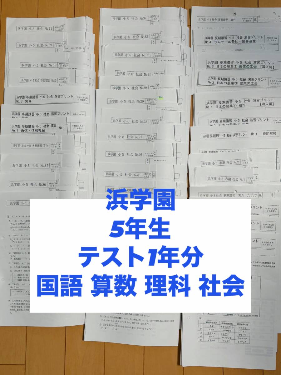 浜学園 小5 算数 国語 理科 社会 復習テスト 実力テスト 春期 浜学園 小5 算数 国語 理科 社会 復習テスト 実力テスト 春期