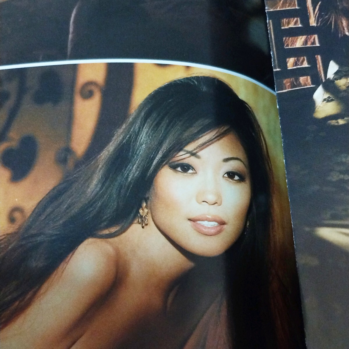 e プレイボーイ PLAYBOY  2008年11月号 雑誌  女性 海外 洋書 グラビア セクシー 女優 ブロンド 金髪 成人の画像7